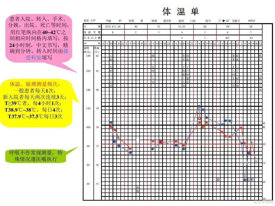 掌握正确体温书写规范——以36.5℃为例的手写攻略