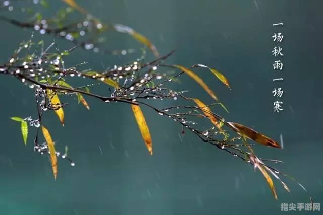 秋雨寒潮，科学有据——深度解读“一场秋雨一场寒”