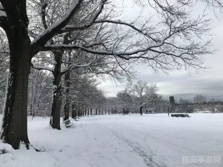 三月飞雪，春寒料峭——探寻异常天气的预兆与应对之策